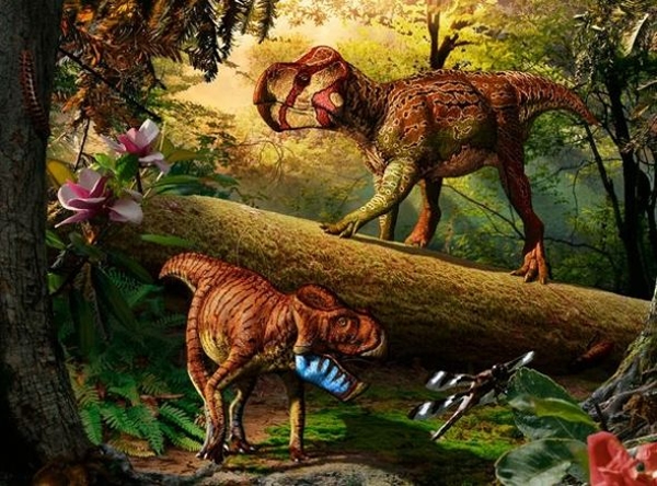 ĪʨսGryphoceratops morrisoni