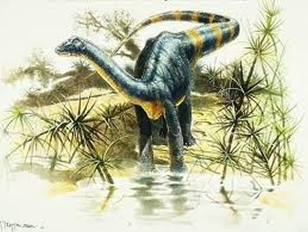 Magyarosaurus dacus