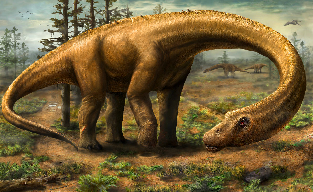 ʩηDreadnoughtus schraniԭͼ