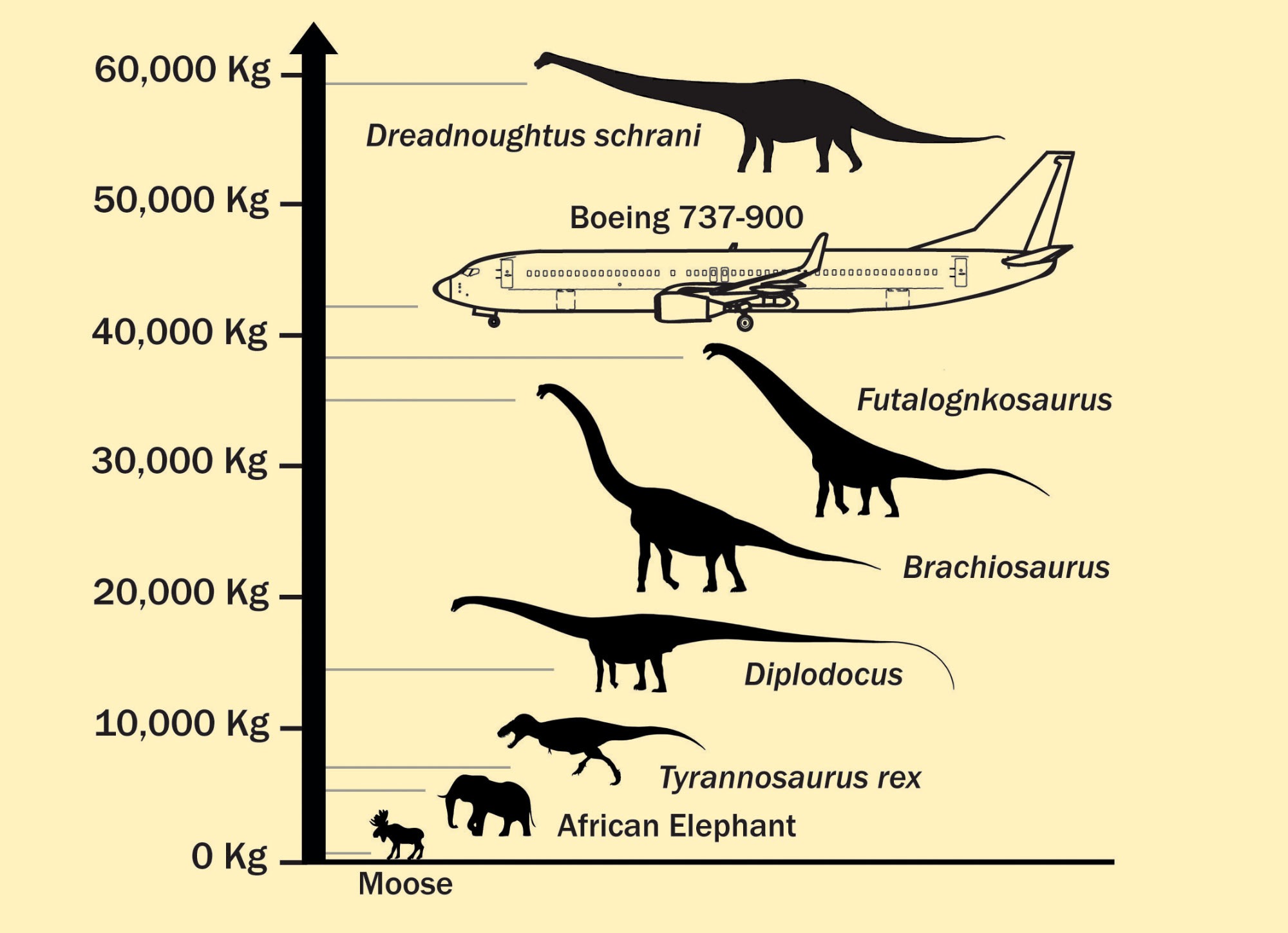 ·ֵĿηDreadnoughtus schraniڵߵ