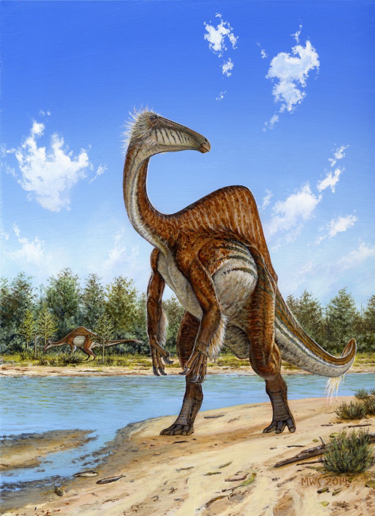 ·ֵDeinocheirus mirificusԭͼ