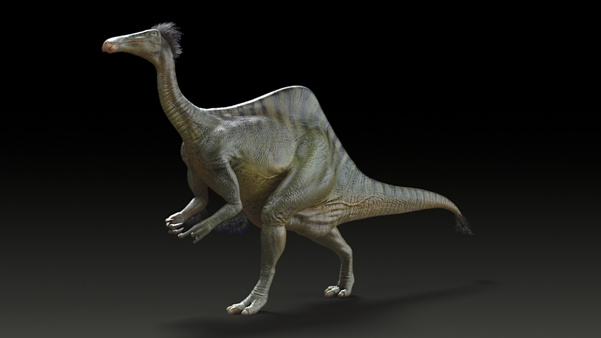 ·ֵDeinocheirus mirificusԭͼ