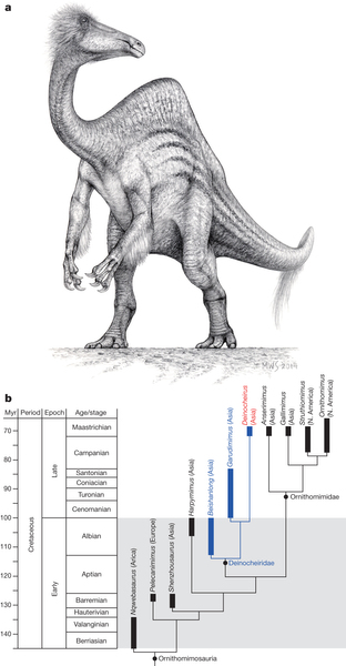 ·ֵDeinocheirus mirificusʯ