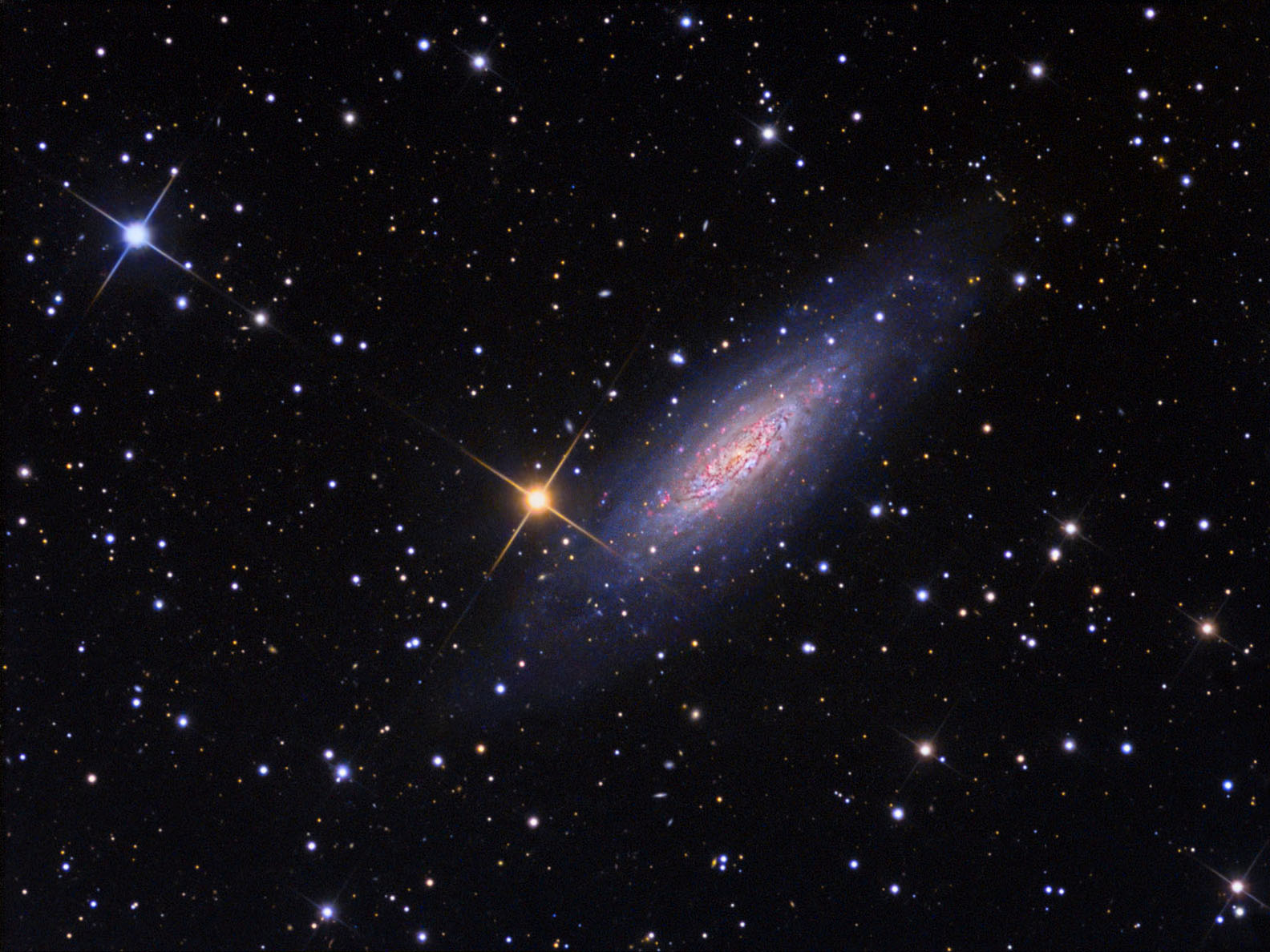 ϵNGC 6503¶شռ