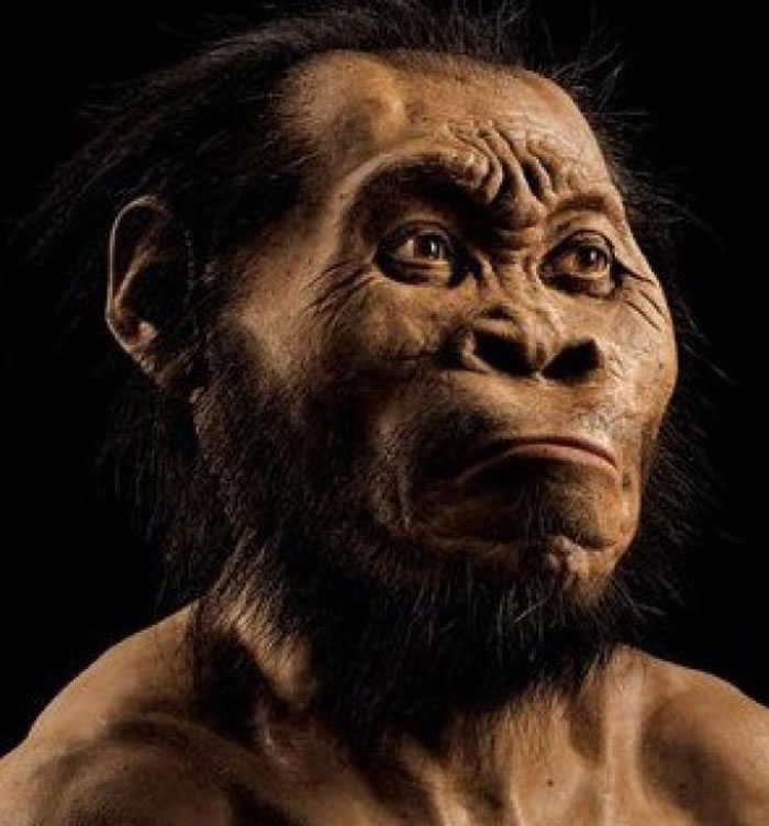 ЩΪHomo Naledi֡ͼΪͼ