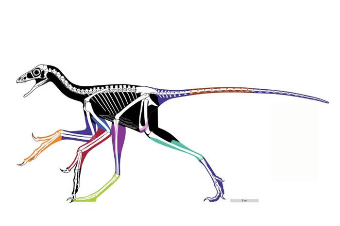 ǼͼɫλǾӰؽ ILLUSTRATION BY WANG XL, PITTMAN M ET AL. 2017