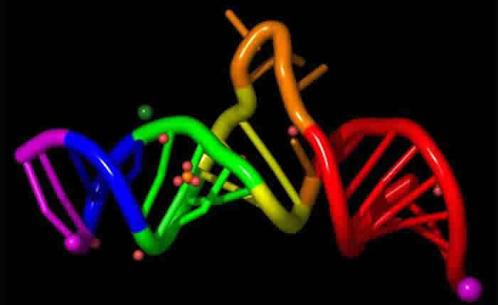 CRISPRǰأ༭RNA