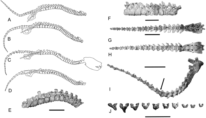 PLOS OneĴǸֵ˹ѧѧؽʨ