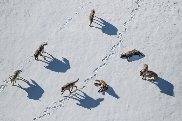 ڻʯɽȣһȺǵܵ㼣 PHOTOGRAPH BY RONAN DONOVAN, NAT GEO IMAGE COLLECTION