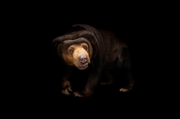 ģ¡ΪɵרȻҲڴ˵ PHOTOGRAPH BY JOEL SARTORE, NATIONAL GEOGR