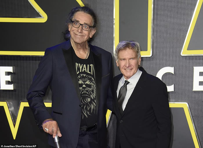 ǼʴսеġͿ˵÷ݣPeter Mayhew 74