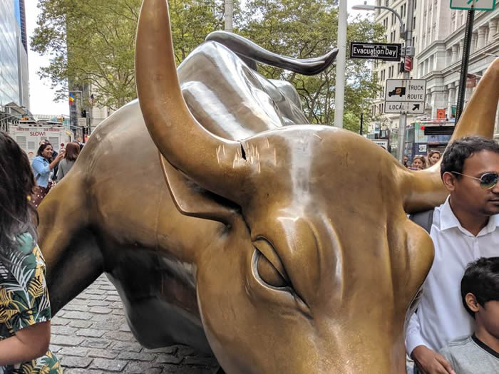 ֪رꡰͭţCharging Bull˶ƻ