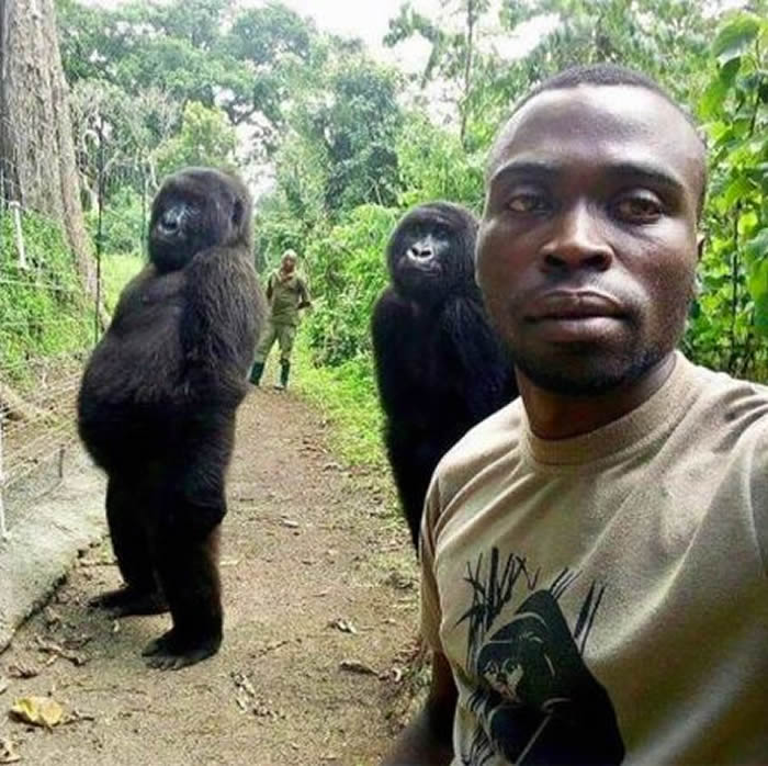 ɴ￨ϣ(Ndakasi)2019Ա(Andre Bauma)ĺ󱬺죬ŵ14ꡣͼأVirunga ati